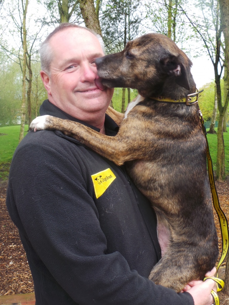Photo 2 - John and the team love Stella, and the feeling is mutual, but they would all be delighted if she found her forever home.