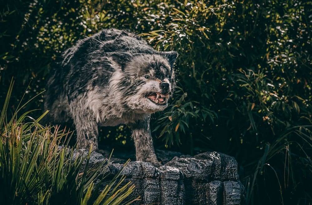 World first’ exhibition of robotic predators set to be unveiled at Chester Zoo