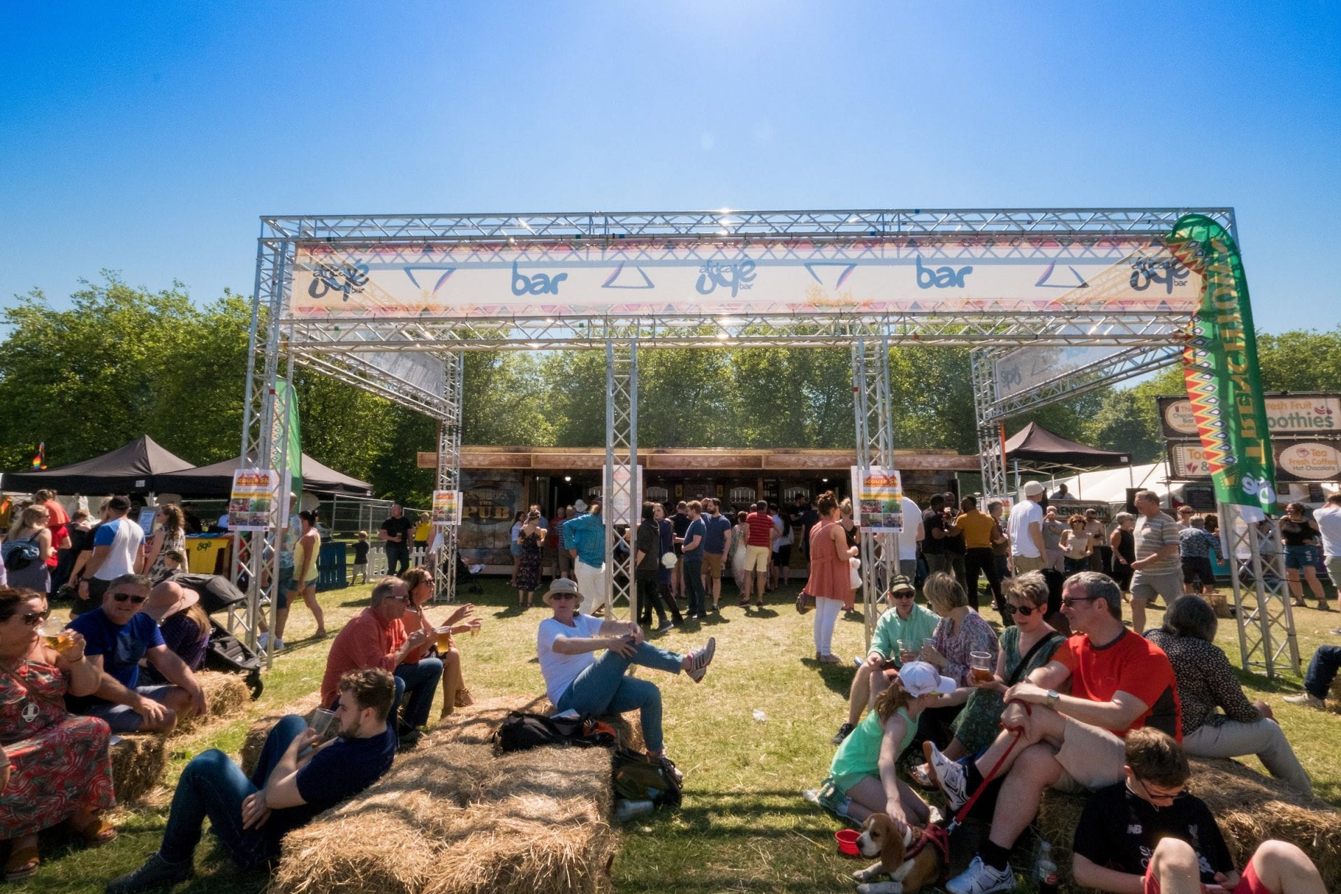 Africa Oyé needs YOU! Volunteer call out for 2019 festival