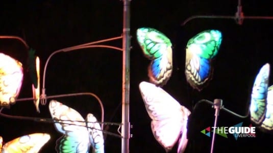 This is what happened when Luminous Landscapes lit up the Festival Gardens…