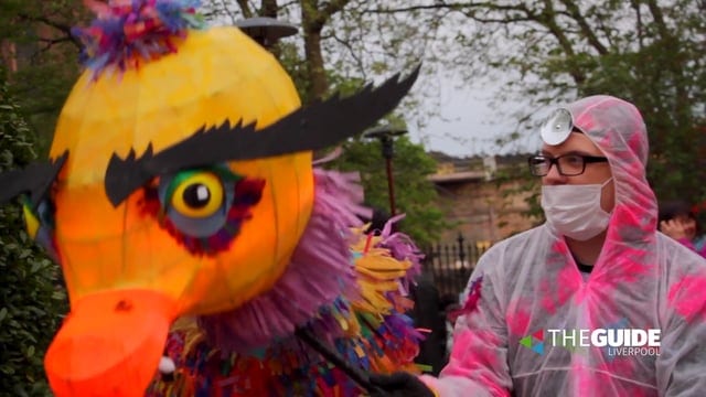 Light Night 2016: There was a Liver Bird on the loose at LIPA