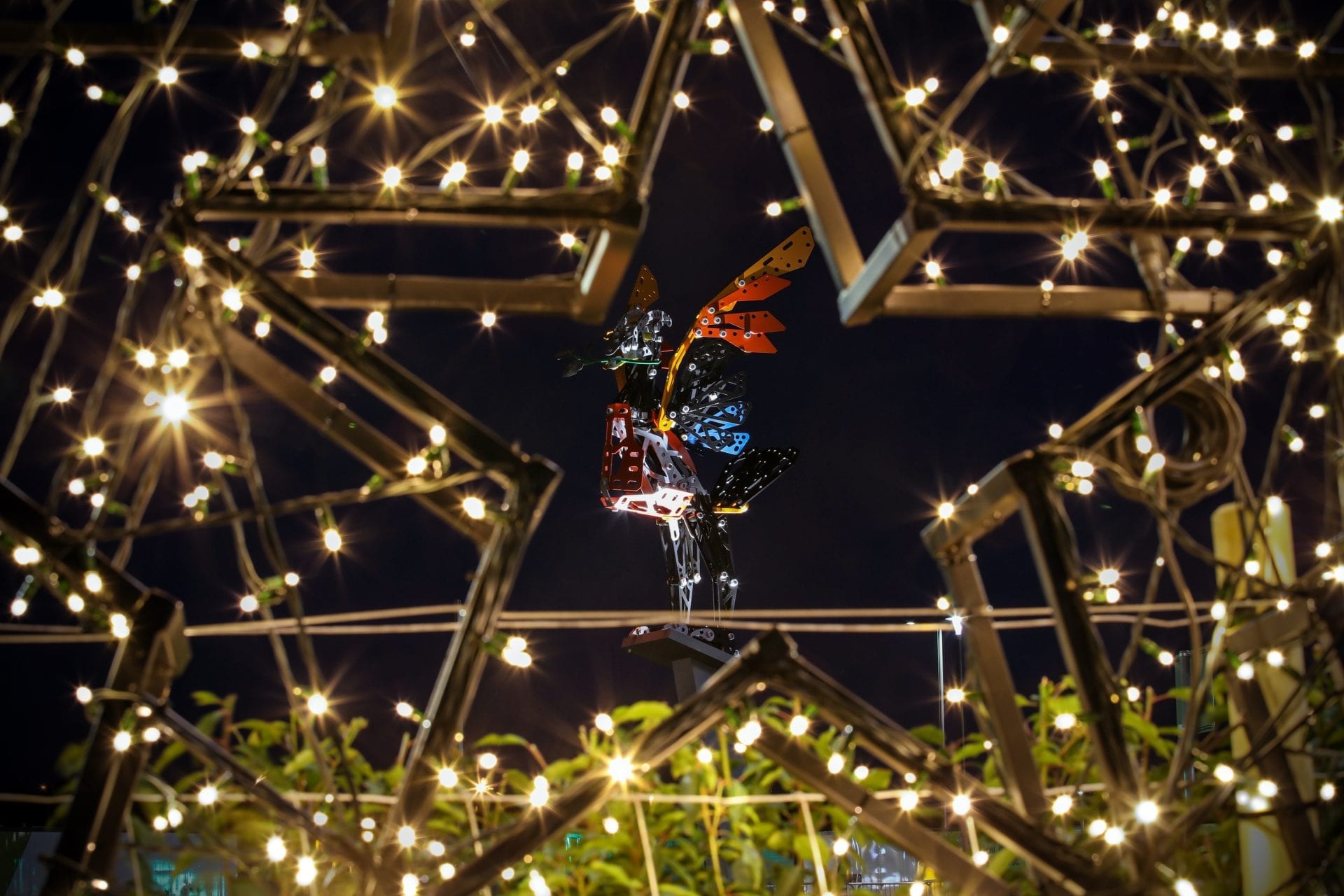 Skate and Ride comes to Liverpool Shopping Park this Christmas