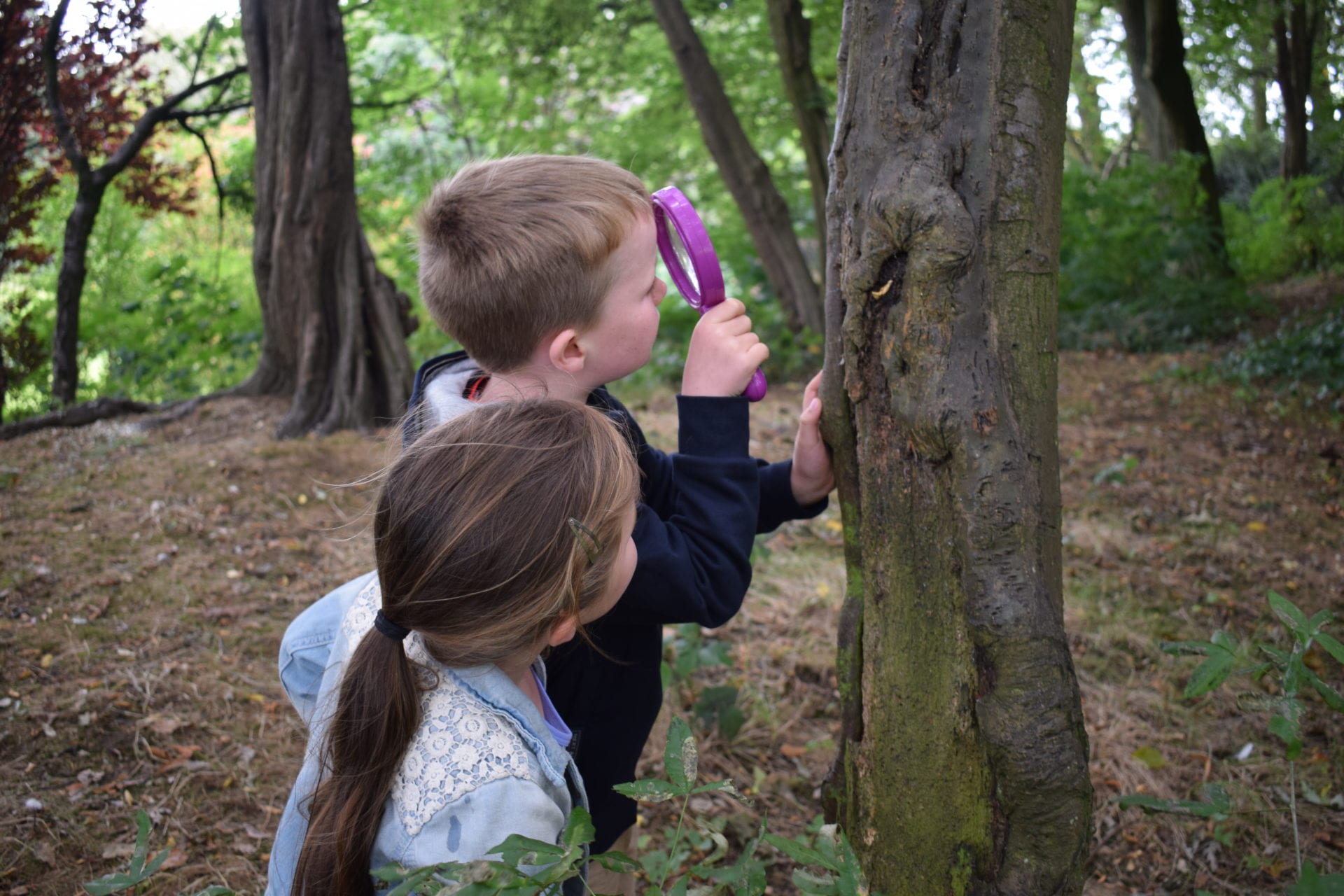 Family: 16 Things to Try Out This October Half Term