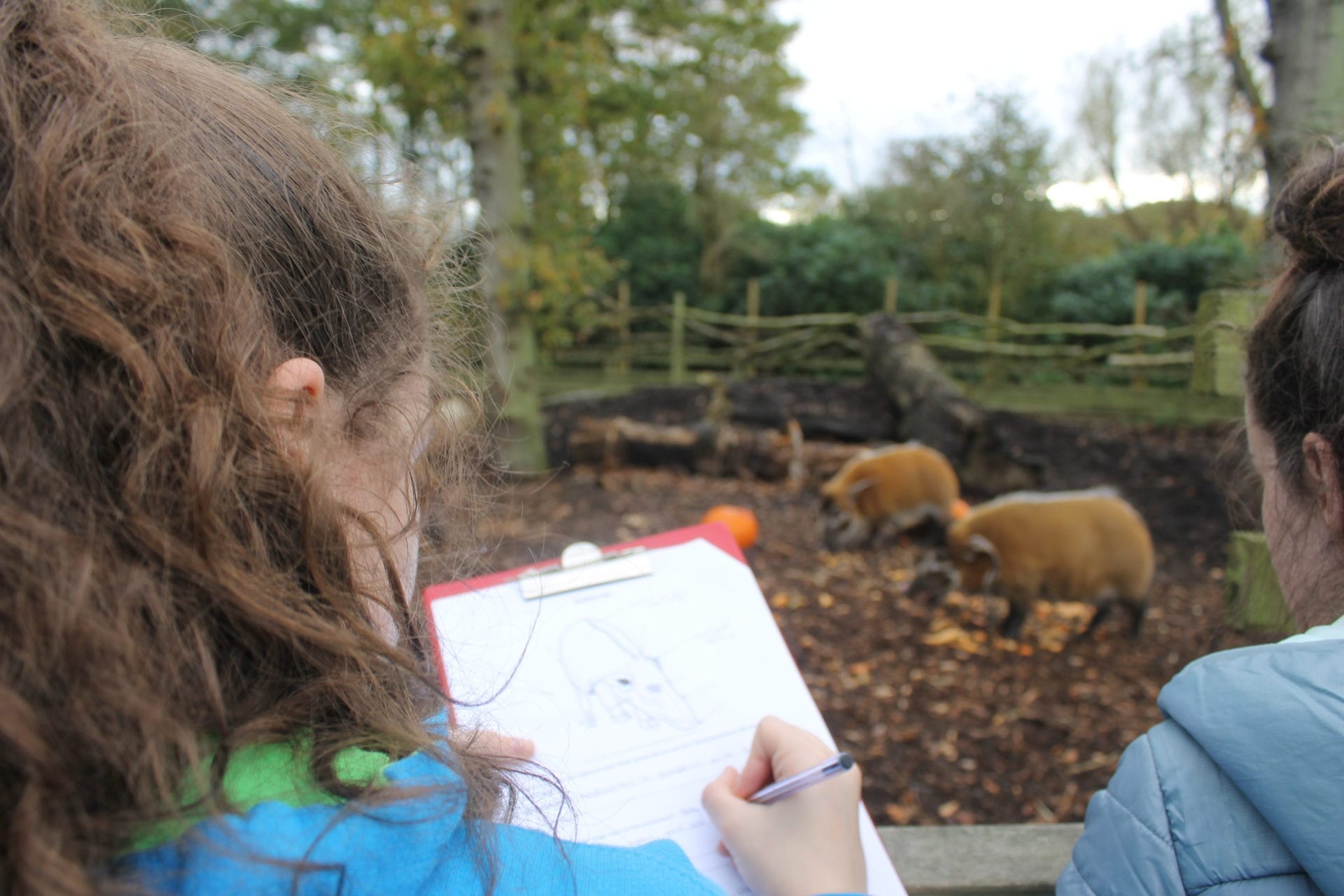 Knowlsey Safari Park is opening its gates to budding young zoologists this summer