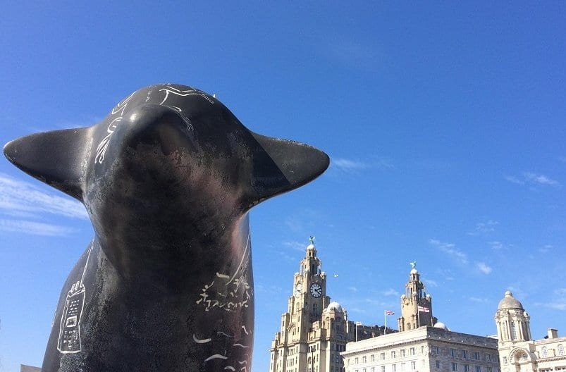 Your Guide Liverpool for the week ahead (8th-14th May 2017)