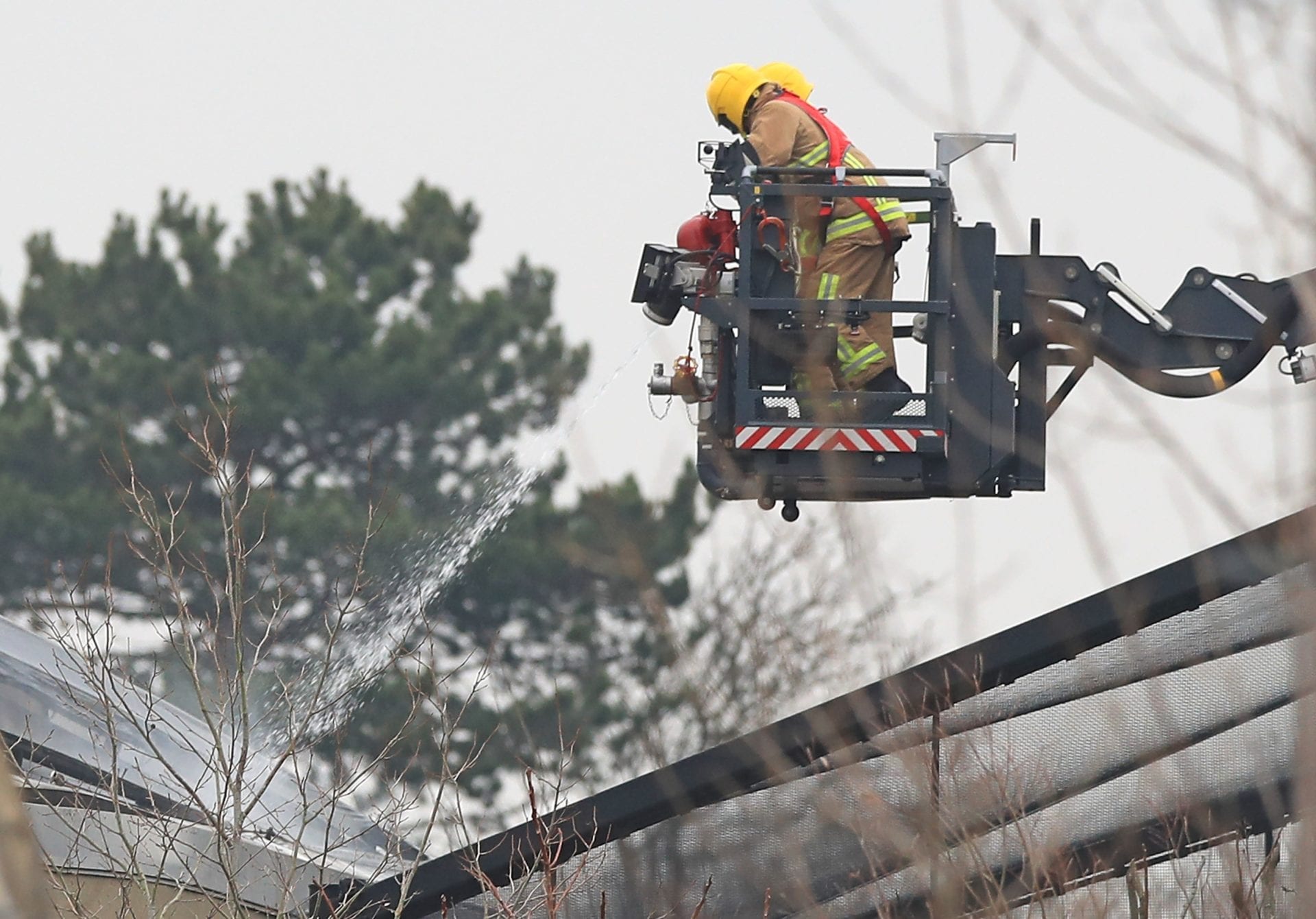 Chester Zoo launches fundraising campaign after fire