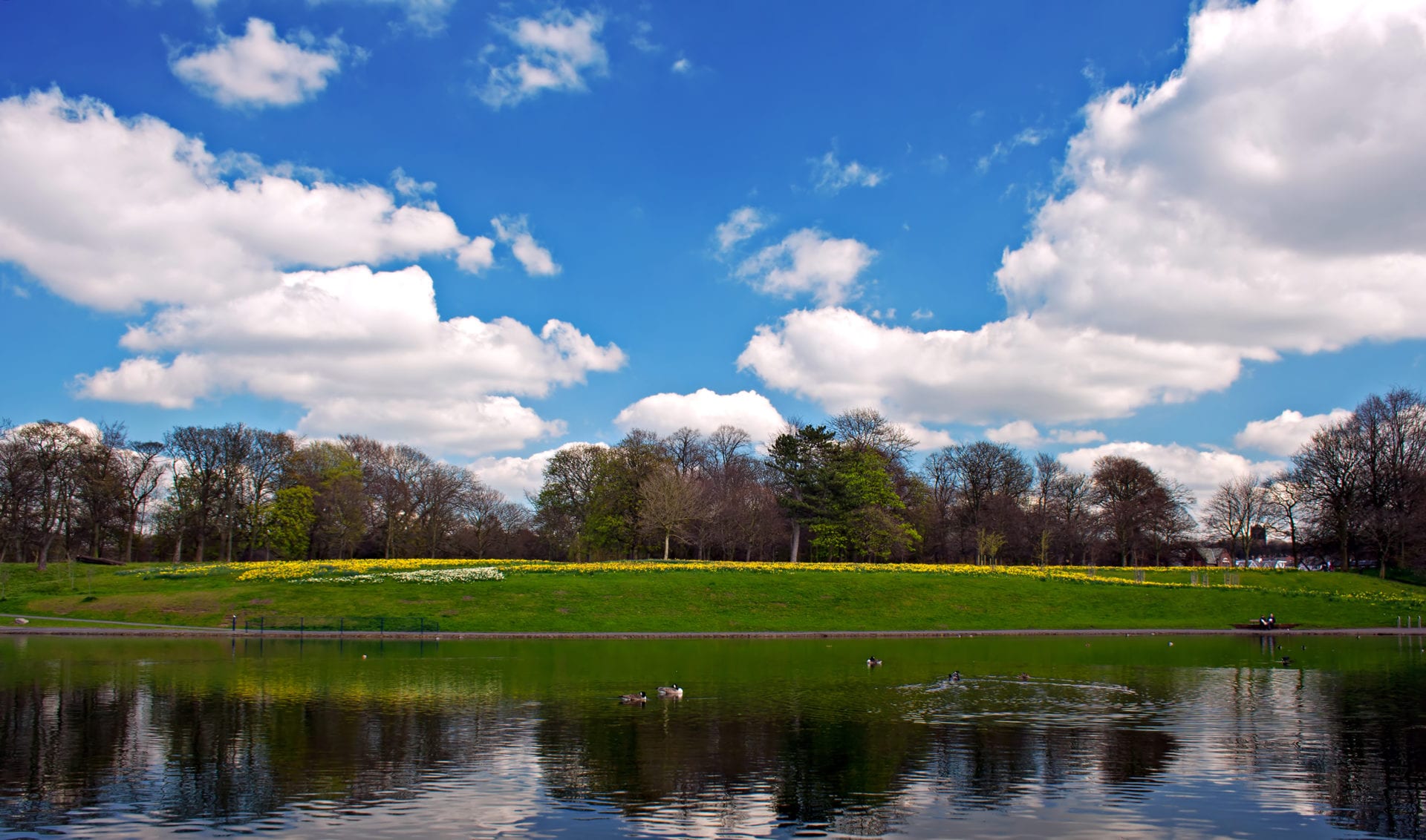 Check out our top Liverpool parks to spend a day in the Spring sunshine