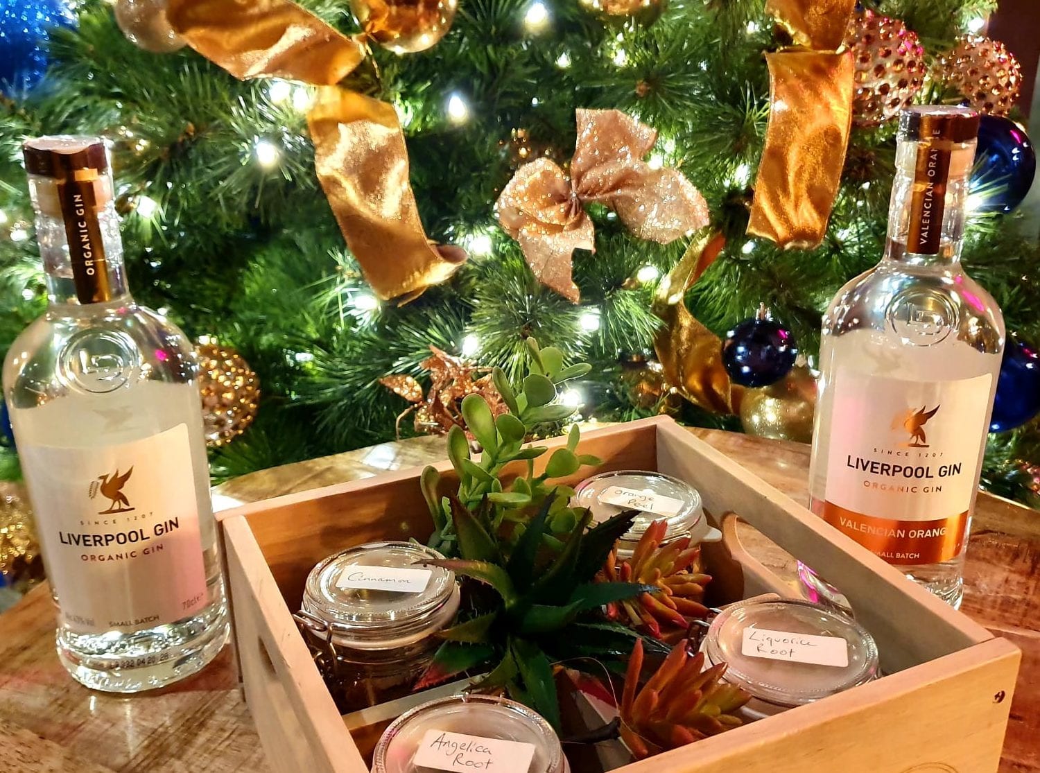 Make your own Christmas Liverpool Gin on Castle Street this year