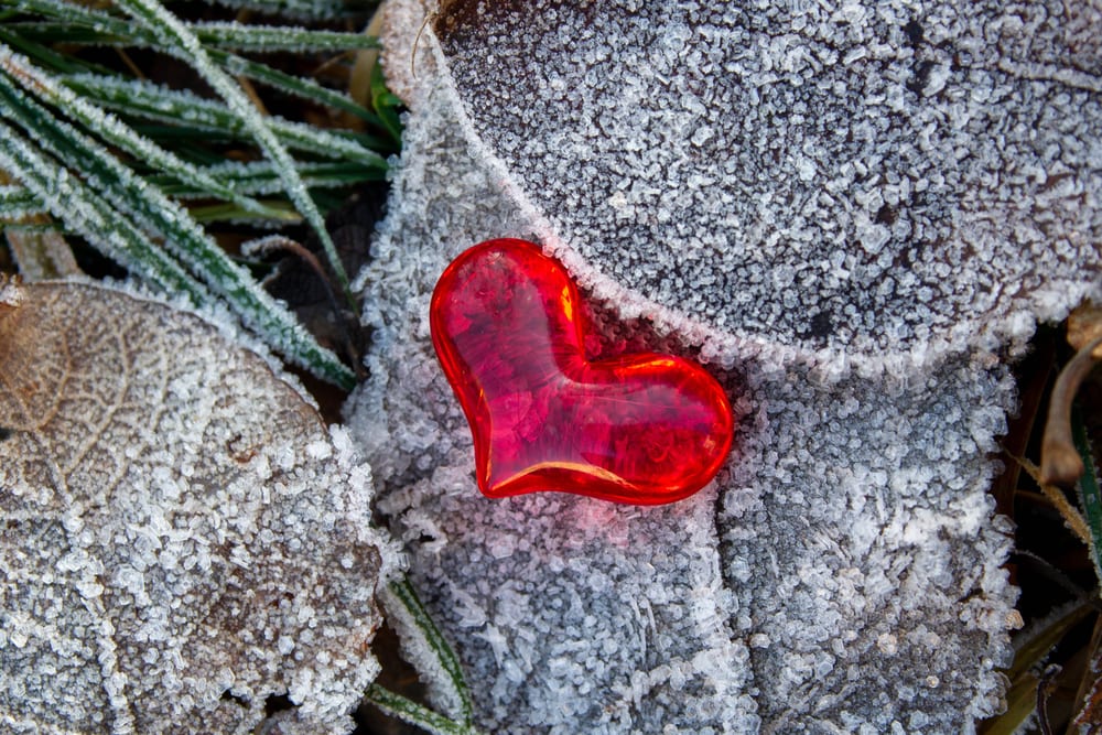 8 ways you can help spread some Christmas cheer in Liverpool