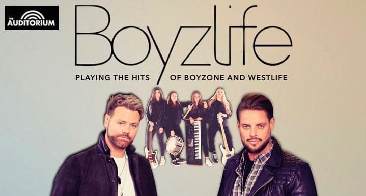 Boyzlife Tour 2020