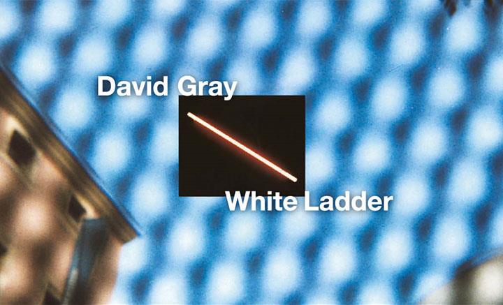 David Gray