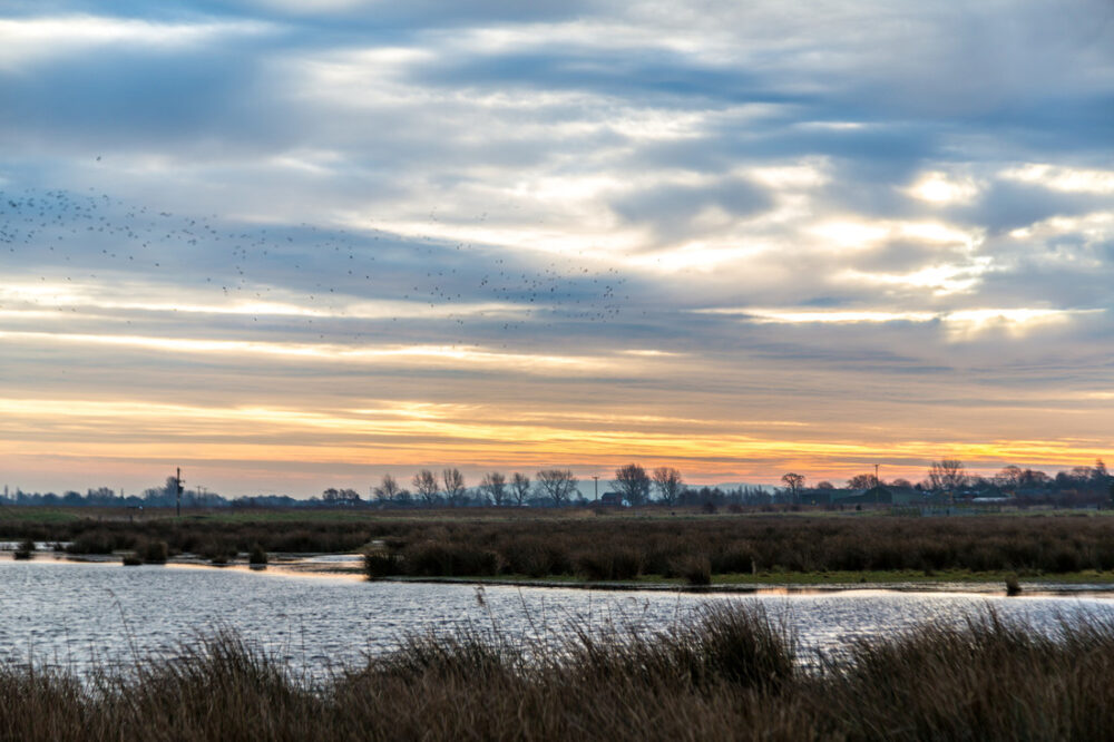 WWT Martin Mere