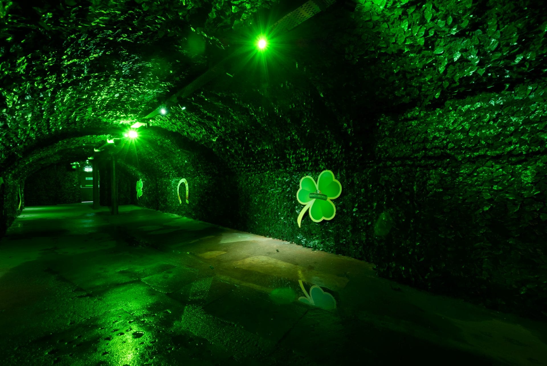 Join the non-stop party this St. Patrick’s Day at Punch Tarmey’s