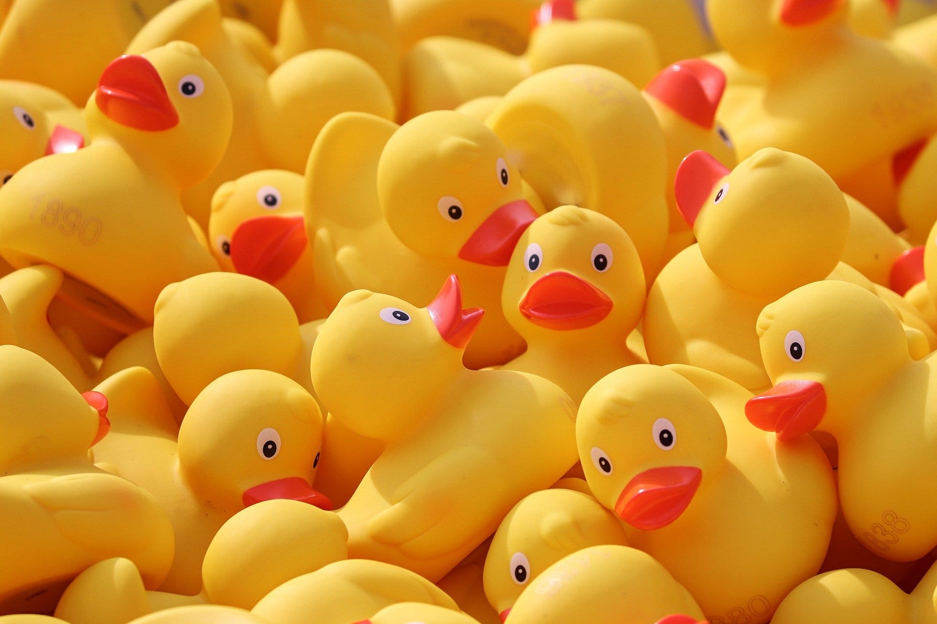 Hospice forced to cancel Pier Head duck race over delivery hold up due to coronavirus