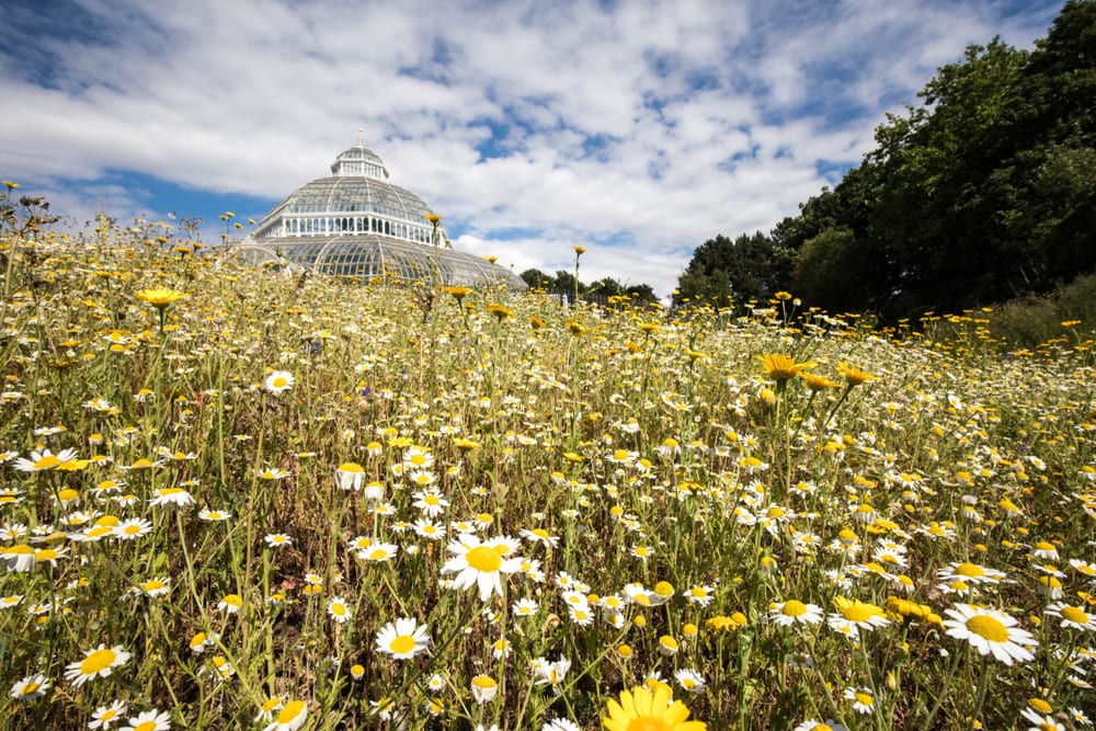 Sefton Park