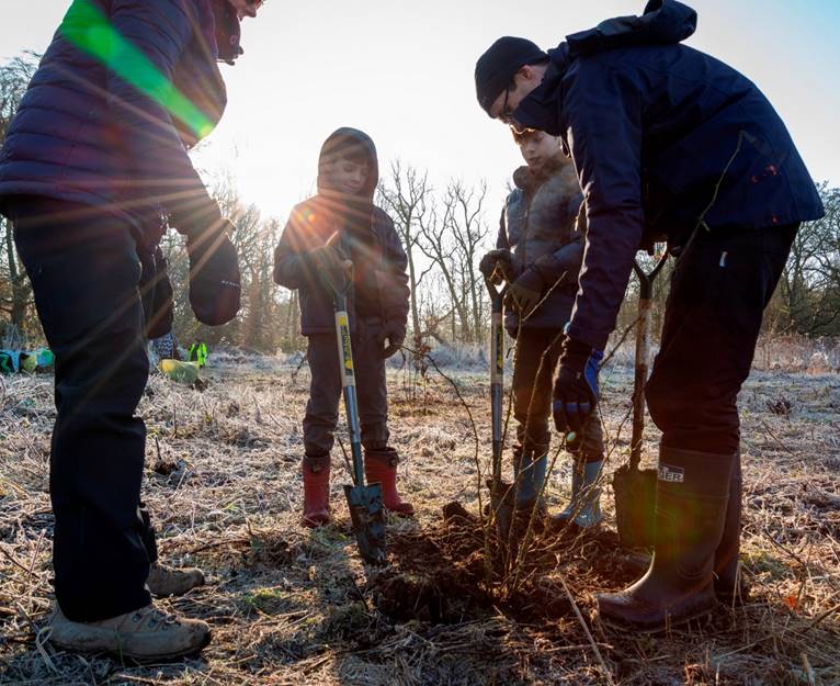 Forty hectares of new woodland to be planted across Liverpool