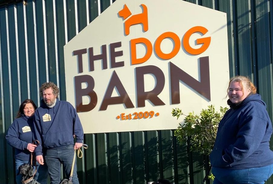 The deals dog barn