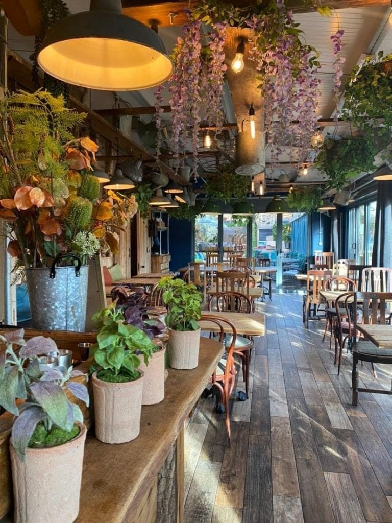 The Watering Can celebrates two years at Greenbank Park The Guide