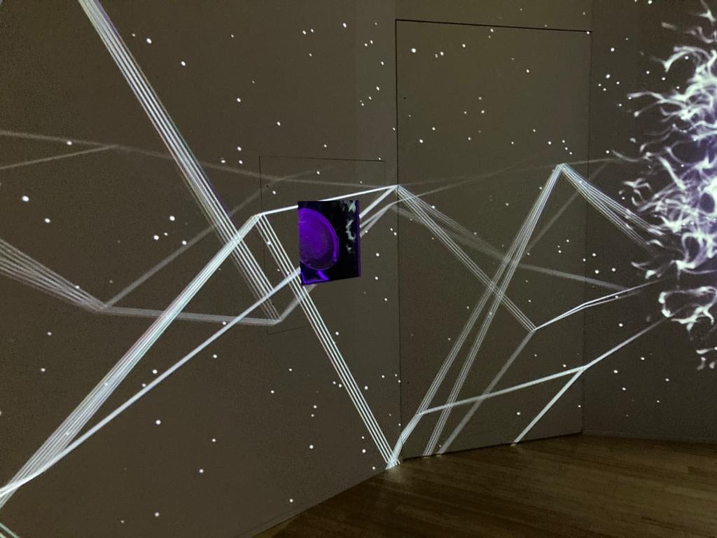 An exclusive stunning immersive experience is coming to Liverpool’s World Museum