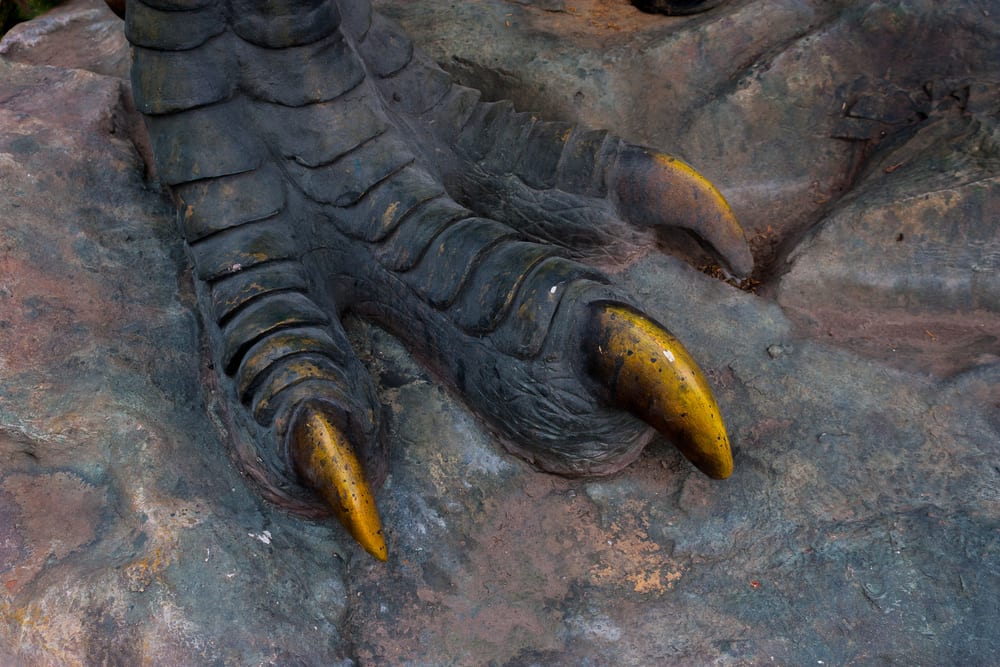 Footprints of last dinosaurs on UK soil have been discovered