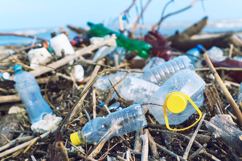 Sefton celebrate Plastic Free July with plea to cut down on single use plastics