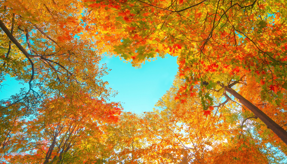 Why we could all do with a September reset and how to give yourself that perfect reboot