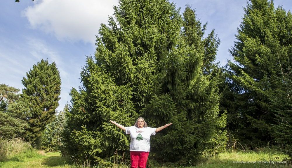 Local Council worker chosen to pick Liverpool’s official Christmas tree for 2021