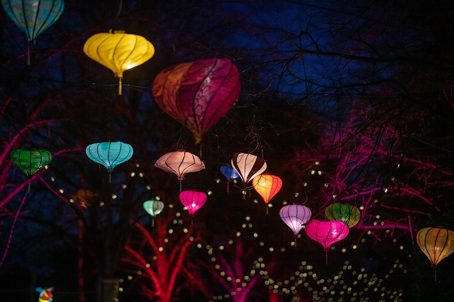 The Lanterns are back brighter than ever at Chester Zoo for Christmas