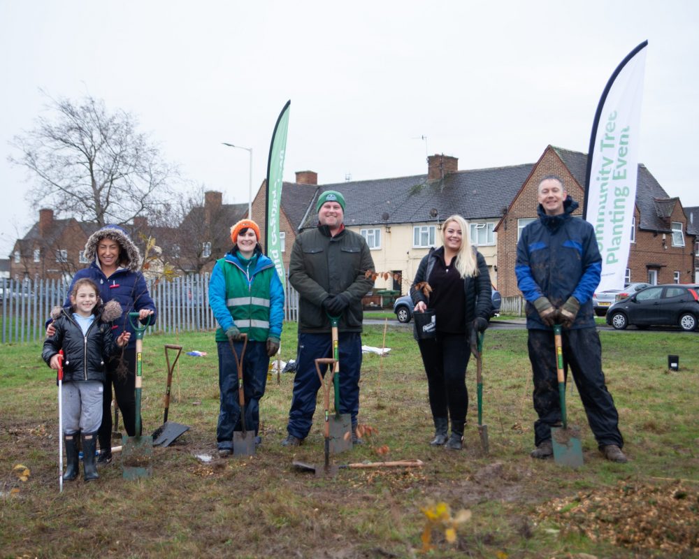 800-tree ‘Fostering Woodland’ created in celebration of Wirral’s foster carers and children