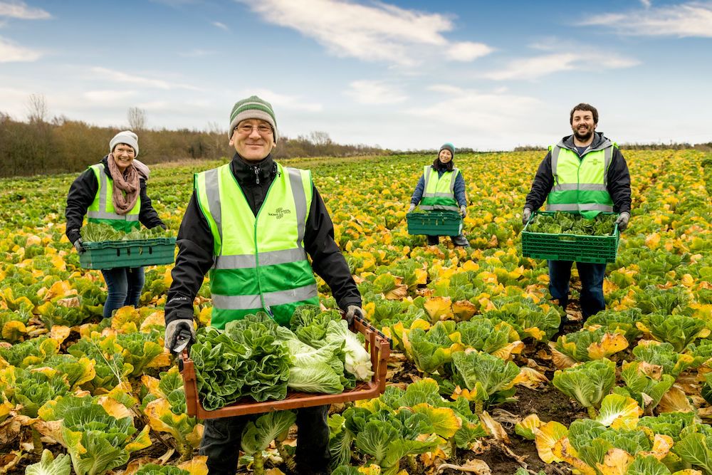 £165,000 fund launched to help community groups in Liverpool City Region reduce, reuse and recycle