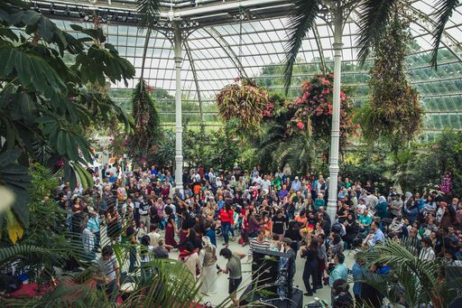 Liverpool Arab Arts Festival returns this July to celebrate its 20th anniversary