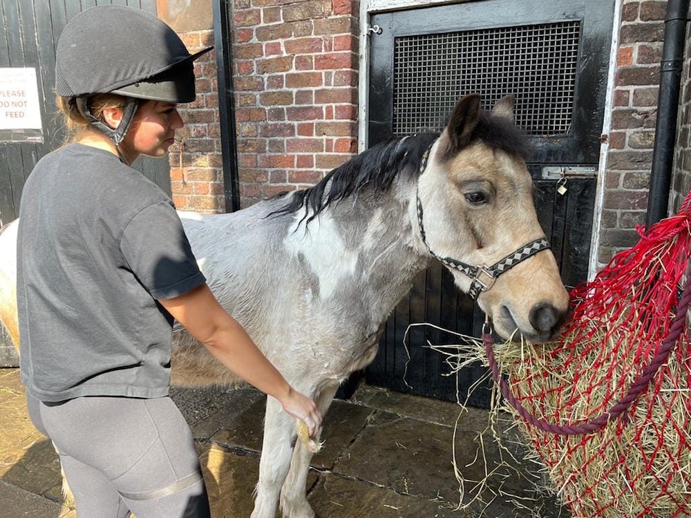 Beechley Stables is having an Afternoon Tea with ponies in Liverpool The Guide Liverpool