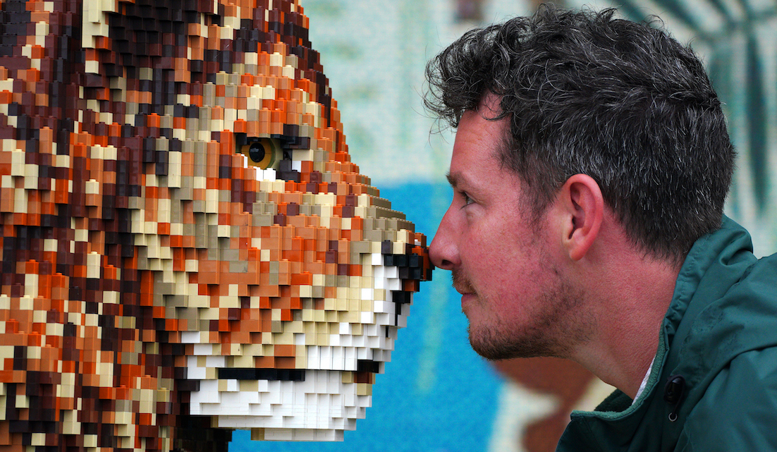 BRICKLIVE launches at Knowsley Safari highlighting the plight of 27 different endangered animals