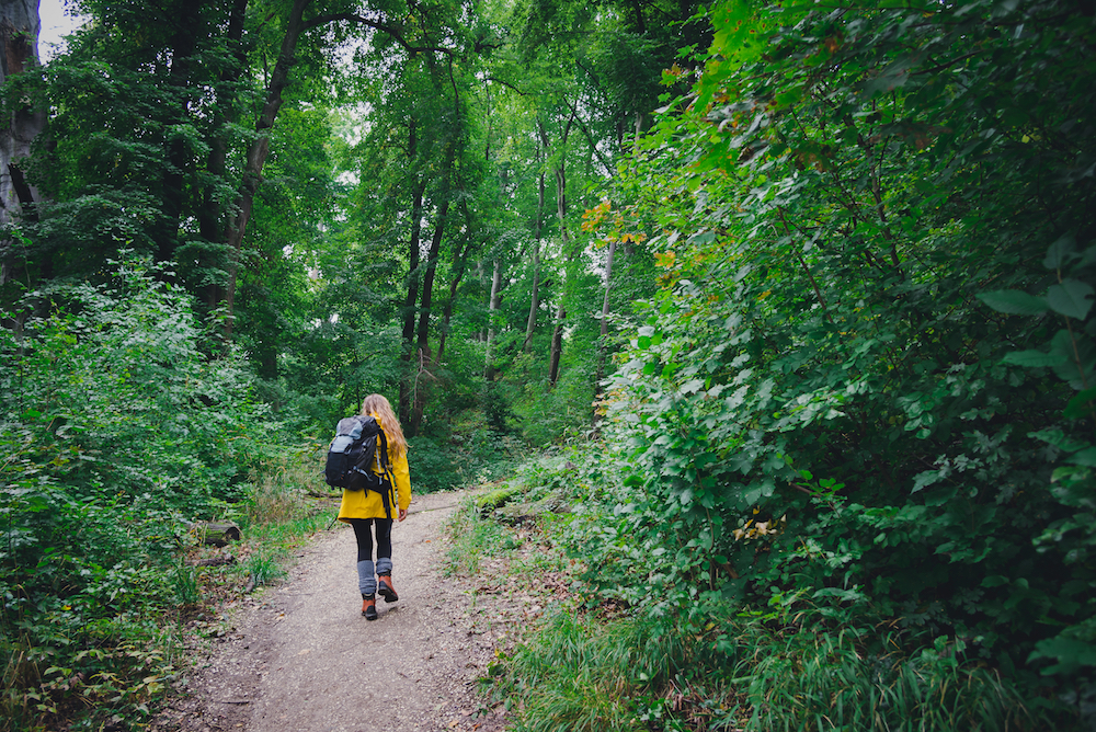 11 woodland walks in and around Merseyside to try this summer | The ...