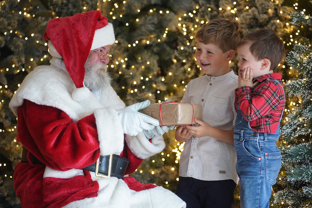 dobbies dog santa visit