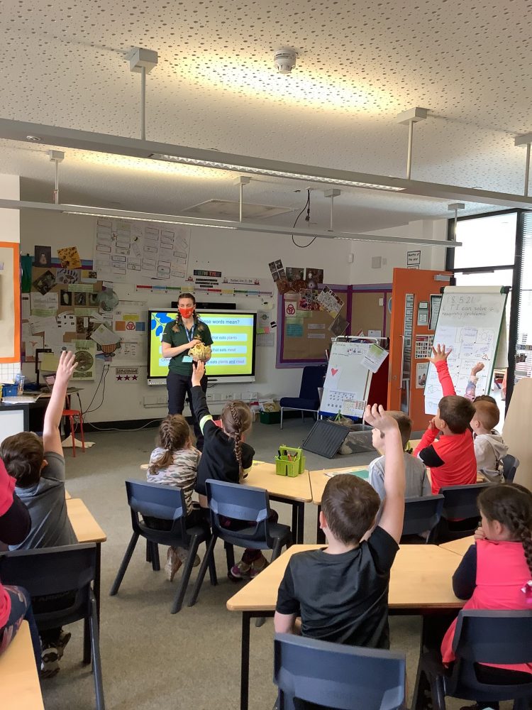 Knowsley Safari is putting on free conservation workshops for school children