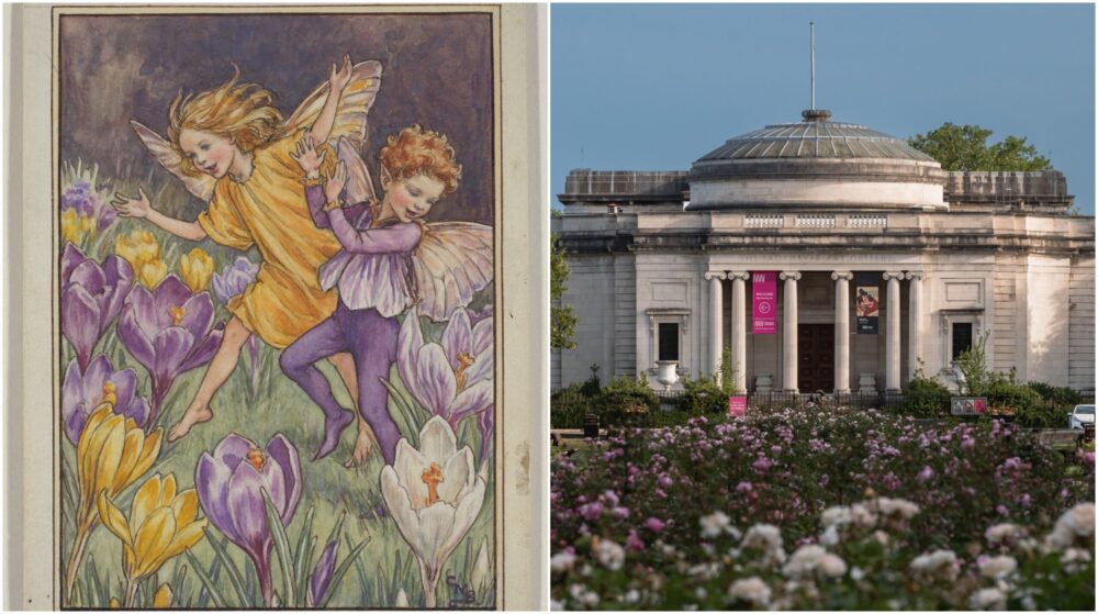 New Exhibition Flower Fairies Comes To Lady Lever Art Gallery This Spring The Guide Liverpool 3409