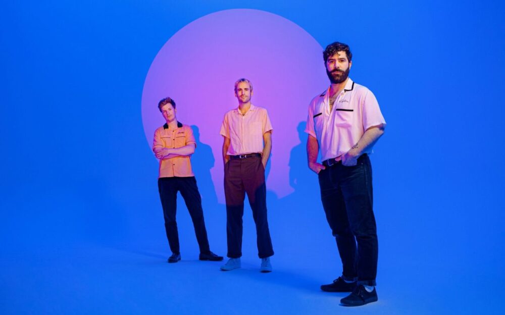 Foals