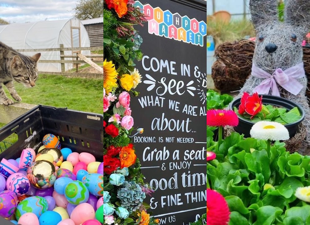 7 things you can do around Liverpool City Region with all the family this Easter  The Guide 