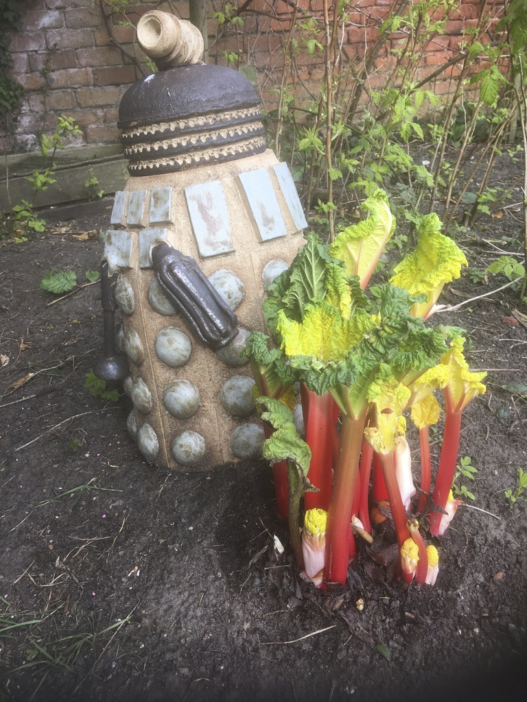 101 uses for a dead Dalek - number 23 forcing rhubarb. “I like the incongruity of this pot. I call it “101 uses for a dead Dalek - number 23 forcing rhubarb”. It was thrown upside down in two parts, the base being just tall enough to let me shut the lid of my kiln. The clay body is crank which gives extra resilience for outdoor pots and the decoration is a combination of oxides and brushed on glaze.”