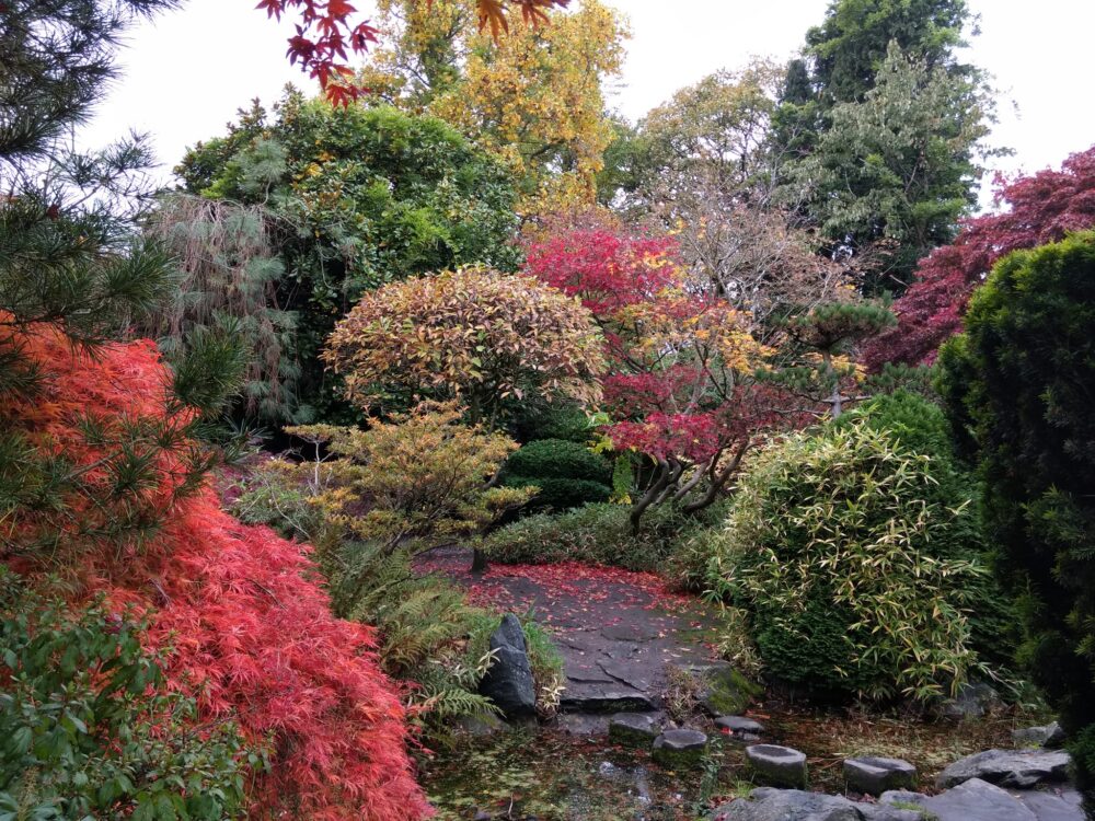 Credit: Dave Toller Calderstones Park Japanese Garden