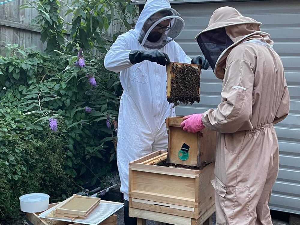 Anthony and Larissa Duffey, who own the Sunnyside Guest House in Southport, have been awarded the coveted Gold Award by Green Tourism. The couple have spent the last 12 months learning to become beekeepers and cultivate their own beehives to make home-made honey for guests