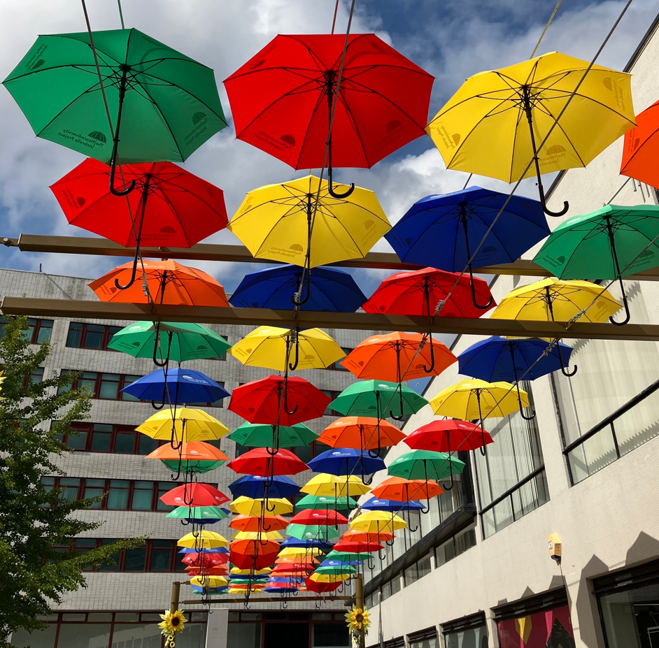 umbrella project trees at University of Liverpool