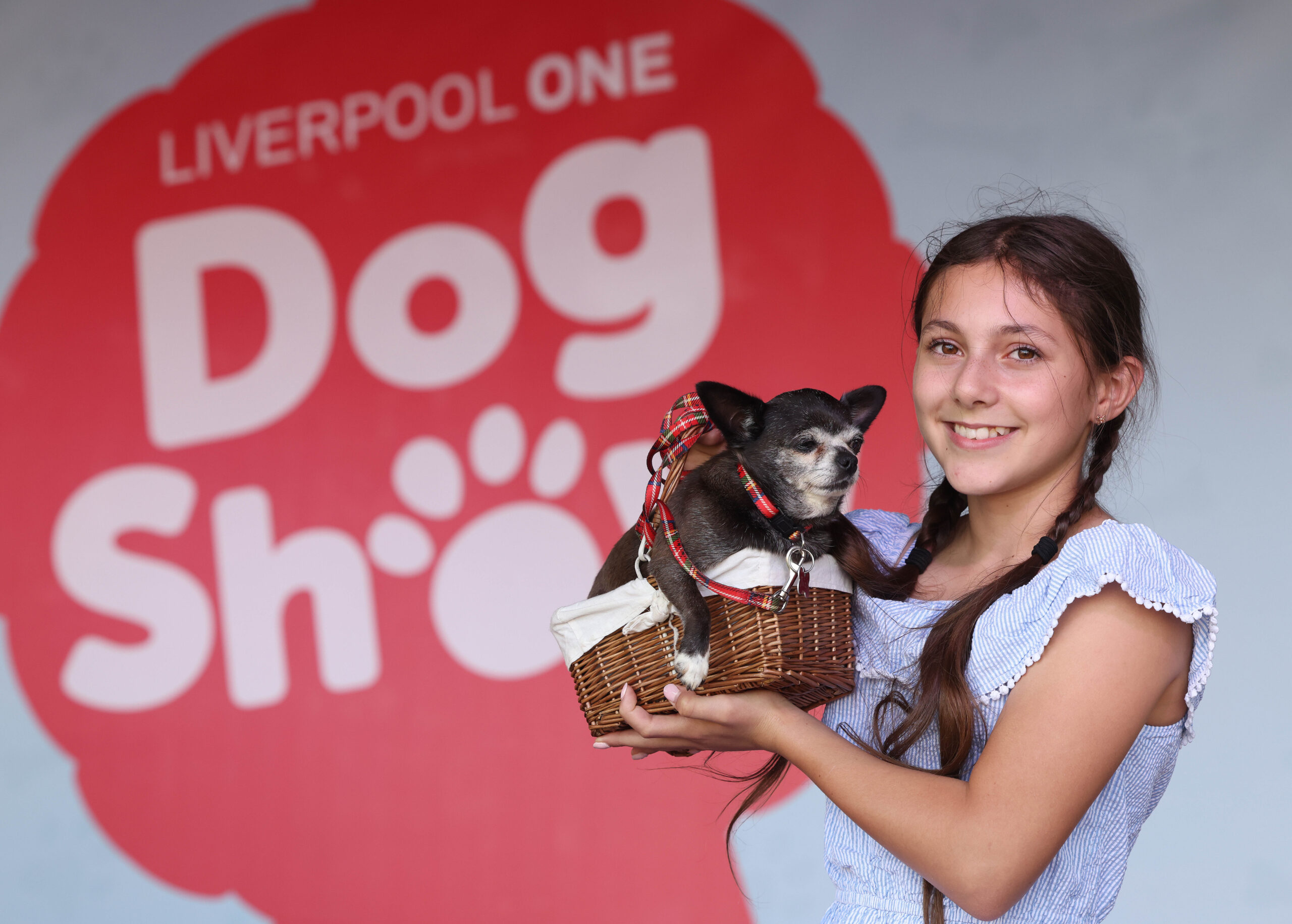 Liverpool ONE Dog Show - The Guide Liverpool