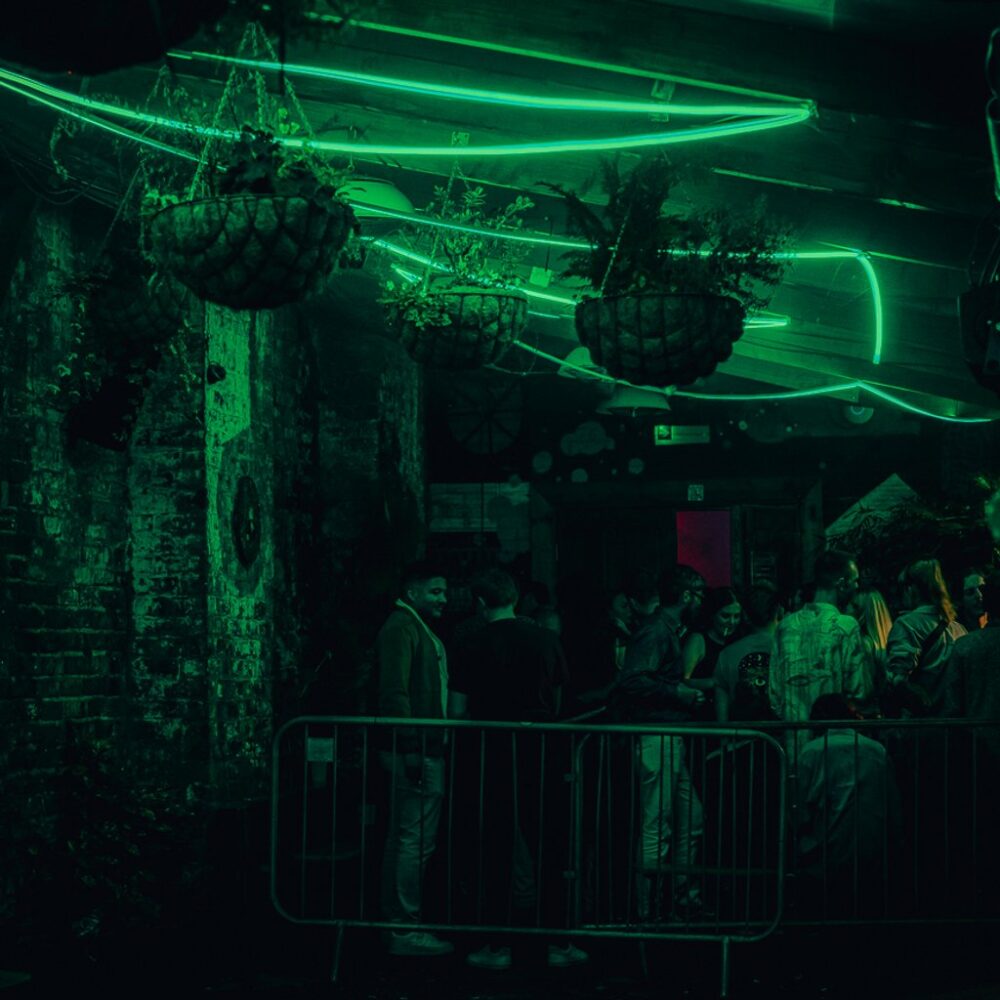 Jungle Cakes: Liverpool