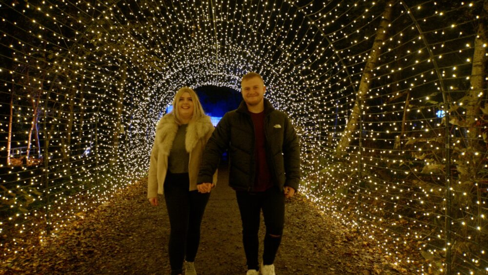 Christmas at the Magical Woodland