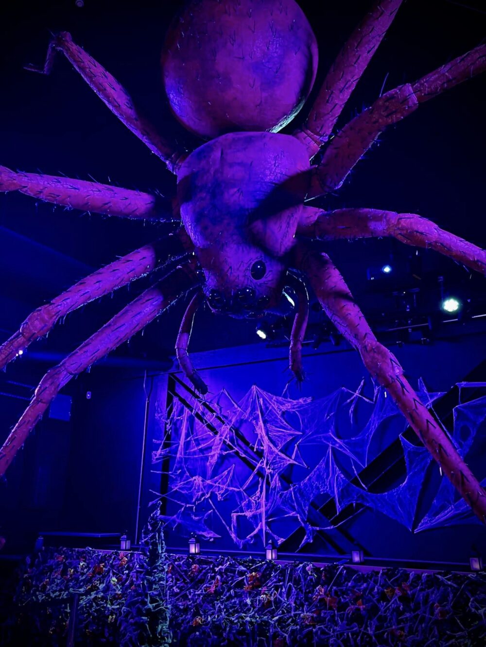 Sally the Spider installation at Eureka! Science + Discovery until Nov 5th.  Image credit: Eureka!