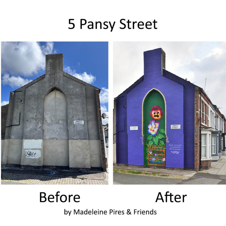 How an artist transformed Liverpool's Flower Streets with beautiful