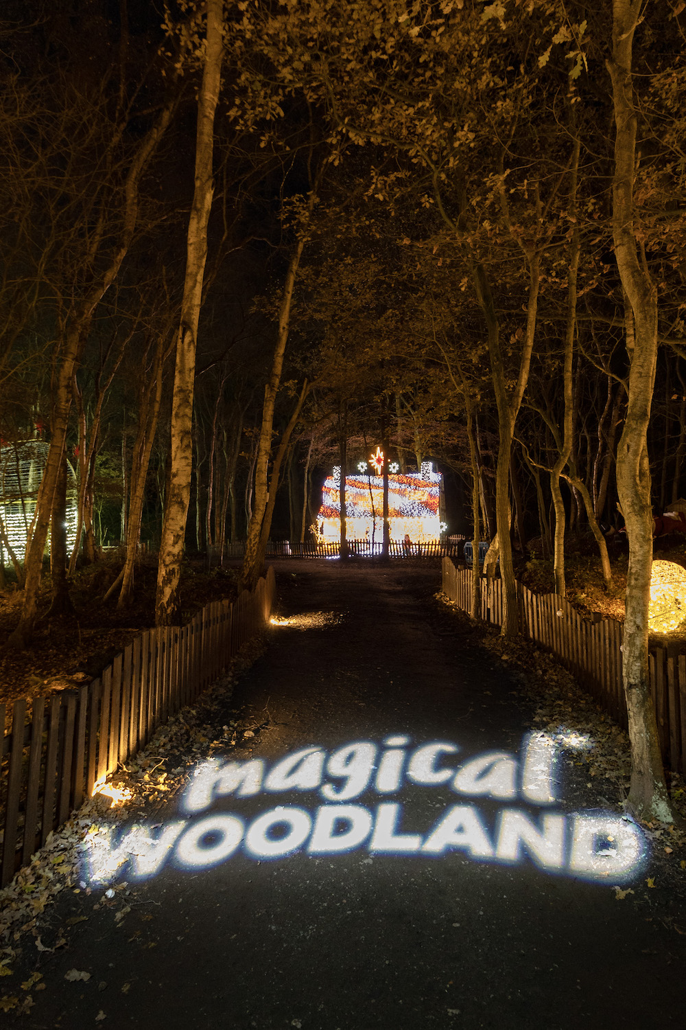 Magical Woodland - Blakemere - The guide Liverpool
