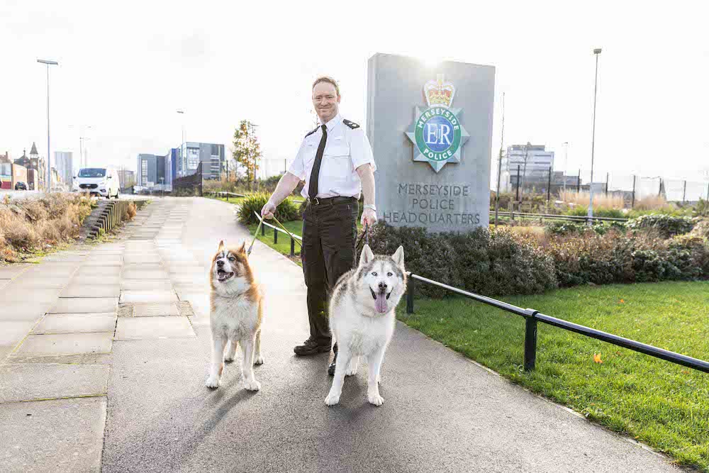 Merseyside Police huskies - The Guide Liverpool